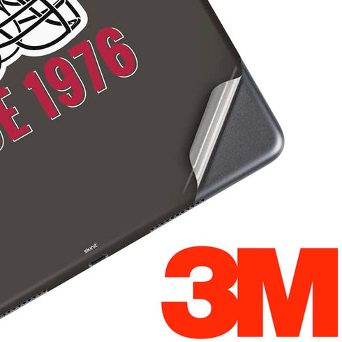 NFL Tampa Bay Buccaneers Helmet iPad Skins