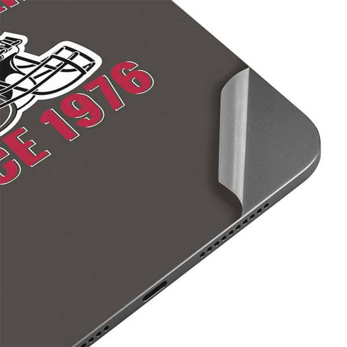NFL Tampa Bay Buccaneers Helmet Apple iPad Mini Skin