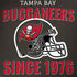 NFL Tampa Bay Buccaneers Helmet Dell Latitude Skin