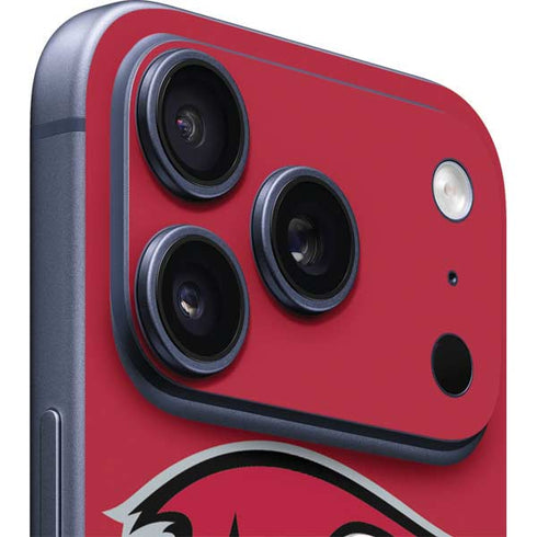 NFL Tampa Bay Buccaneers Large Logo iPhone 17 Pro Max Skin