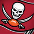 NFL Tampa Bay Buccaneers Large Logo Dell Latitude Skin