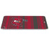 NFL Tampa Bay Buccaneers Trailblazer iPad Pro 13in M4 (2024) Skin