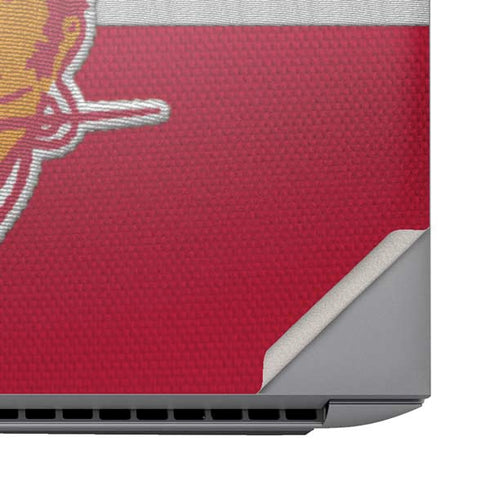 NFL Tampa Bay Buccaneers Vintage HP ZBook Fury 16 G10 Skin