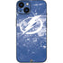 NHL Tampa Bay Lightning Frozen iPhone Skins
