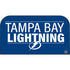 NHL Tampa Bay Lightning Lineup Nintendo Switch 2 (2025) with Joy-Con Skin