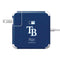 MLB Tampa Bay Rays - Solid Distressed 85W Power Adapter (15 and 17 inch MacBook Pro Charger) Skin