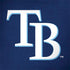 MLB Tampa Bay Rays - Solid Distressed Dell Latitude Skin