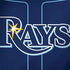 MLB Tampa Bay Rays Alternate/Away Jersey Dell Latitude Skin