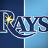 MLB Tampa Bay Rays Split Dell Latitude Skin