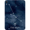 Taurus Constellation Apple iPad Mini Skin