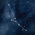 Taurus Constellation Dell Latitude Skin
