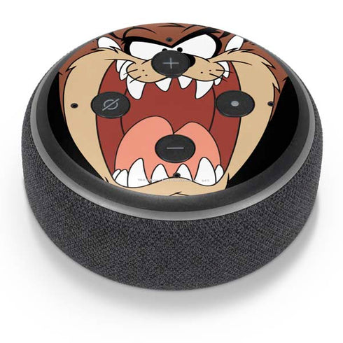 Looney Tunes Taz Amazon Echo Dot Skin