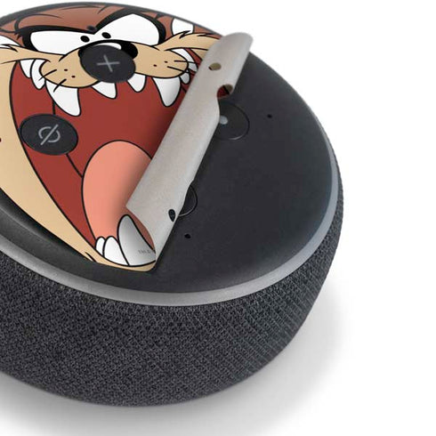 Looney Tunes Taz Amazon Echo Dot Skin