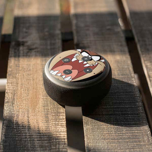 Looney Tunes Taz Amazon Echo Dot Skin