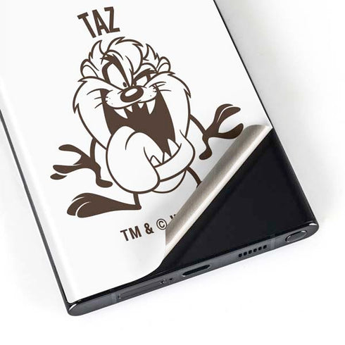 Looney Tunes Taz Big Head Galaxy Skins