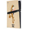 Looney Tunes Taz Identity PS5 Pro Console Skin
