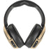 Looney Tunes Taz Identity Skullcandy Venue Skin