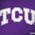 Texas Christian University TCU Horned Frogs Dell Alienware Skin