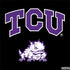 Texas Christian University TCU Horned Frogs Logo Dell Latitude Skin
