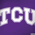 Texas Christian University TCU Horned Frogs Notebook 9 Pro 13in (2017) Skin