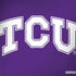 Texas Christian University TCU Horned Frogs Surface Book 2 13.5in Skin