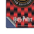 Wizarding Worlds Harry Potter Team Gryffindor Galaxy Z Fold6 Skin