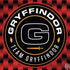 Wizarding Worlds Harry Potter Team Gryffindor Dell Latitude Skin