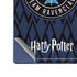 Wizarding Worlds Harry Potter Team Ravenclaw Galaxy Z Fold6 Skin