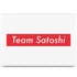 Team Satoshi MacBook Skins