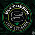 Wizarding Worlds Harry Potter Team Slytherin MacBook Skins