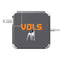 University of Tennessee-Knoxville Vols 85W Power Adapter (15 and 17 inch MacBook Pro Charger) Skin