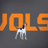 University of Tennessee-Knoxville Vols Dell Latitude Skin