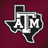 Texas A&M University Black Logo Dell Alienware Skin
