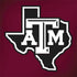 Texas A&M University Black Logo Dell Inspiron Skin