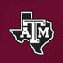 Texas A&M University Black Logo iPhone XR Skin