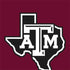 Texas A&M University Black Logo Otterbox Commuter Galaxy Skin