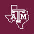 Texas A&M University Black Logo PS4 Slim Skin