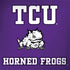 Texas Christian University Mascot Dell Latitude Skin
