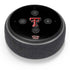 Texas Tech University Bold Amazon Echo Dot Skin