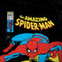 Marvel Classic Comics The Amazing Spider-Man iPhone X Skin
