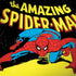 Marvel Classic Comics The Amazing Spider-Man Surface Book 2 15in Skin