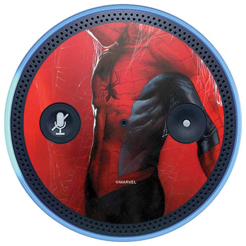 Marvel Spiderman The Amazing Spiderman Amazon Echo Skin