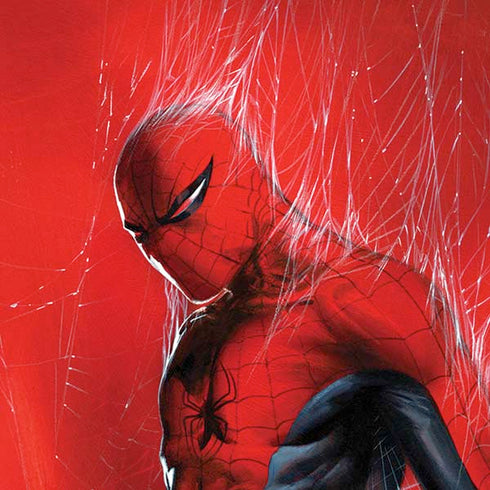 Marvel Spiderman The Amazing Spiderman iPhone X Pro Case