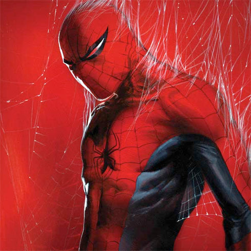 Marvel Spiderman The Amazing Spiderman Dell Latitude Skin