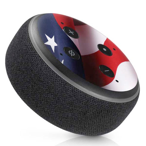 The American Flag Amazon Echo Dot Skin
