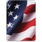 The American Flag Apple iPad Pro Skin