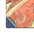 The Arts: Dance by Mucha Galaxy Z Fold6 Skin