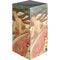 The Arts: Dance by Mucha XBox Series X Digital Edition Console Skin