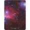 The Belt Stars of Orion Apple iPad Air Skin