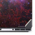 The Belt Stars of Orion Dell Precision Skin